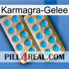 Karmagra Jelly new08